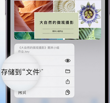 许昌apple维修中心分享iPhone文件应用中存储和找到下载文件