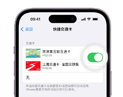 许昌apple维修点分享iPhone上更换Apple Pay快捷交通卡手绘卡面 