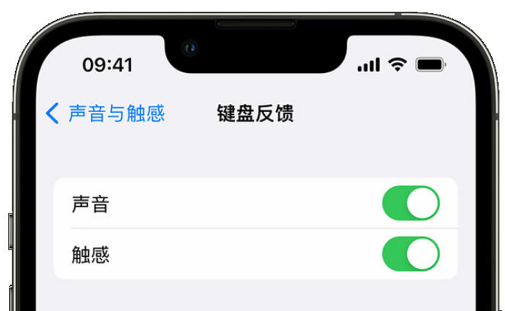 许昌苹果手机维修分享iPhone 14触感键盘使用方法 