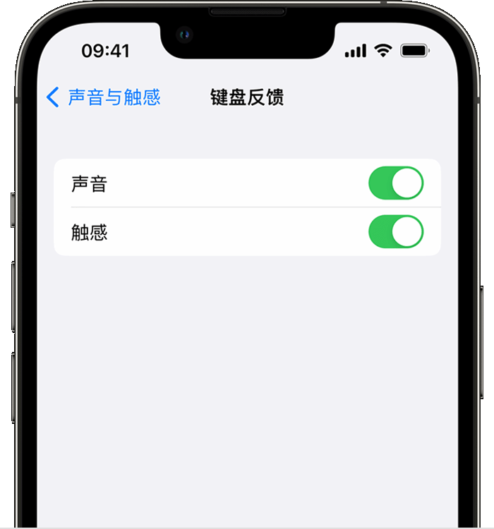 许昌苹果14维修店分享如何在 iPhone 14 机型中使用触感键盘 