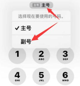 许昌苹果14维修店分享iPhone 14 Pro Max使用副卡打电话的方法 