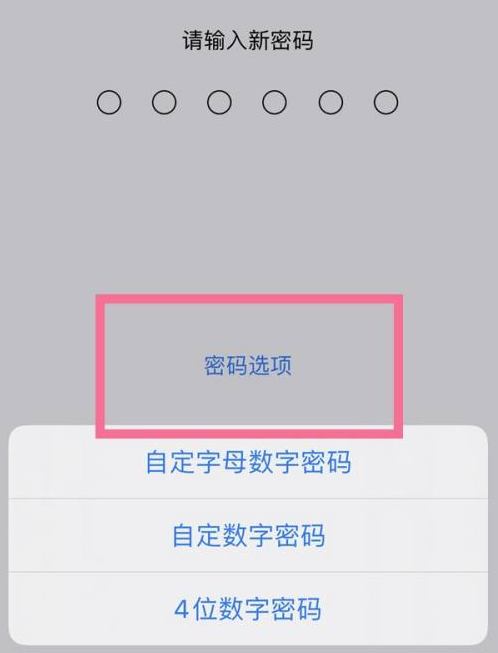 许昌苹果14维修分享iPhone 14plus设置密码的方法 