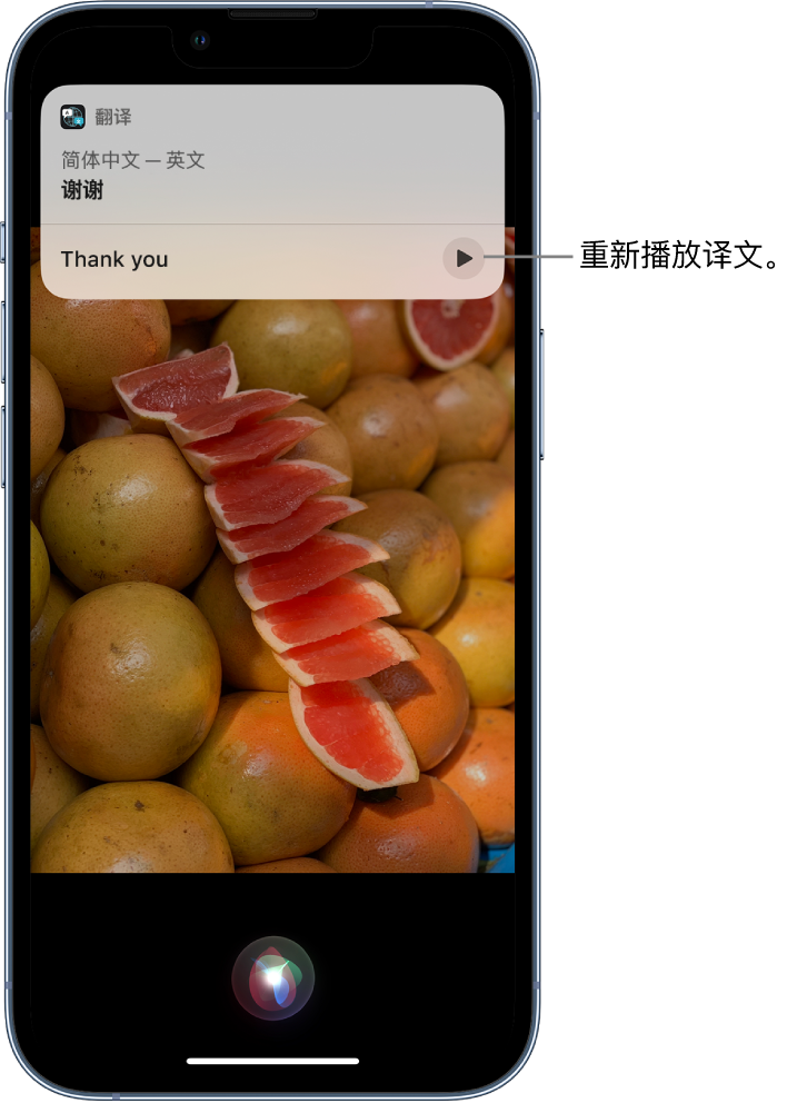 许昌苹果14维修分享 iPhone 14 机型中使用 Siri：了解 Siri 能帮你做什么 